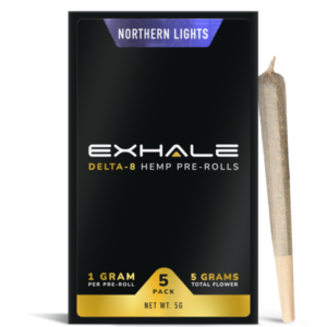 NORTHERN LIGHTS (5-PACK)