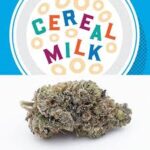 CEREAL MILK