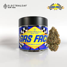 GAS FACE